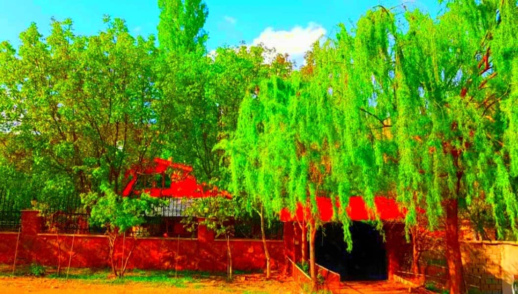 ویلا باغ صالحی