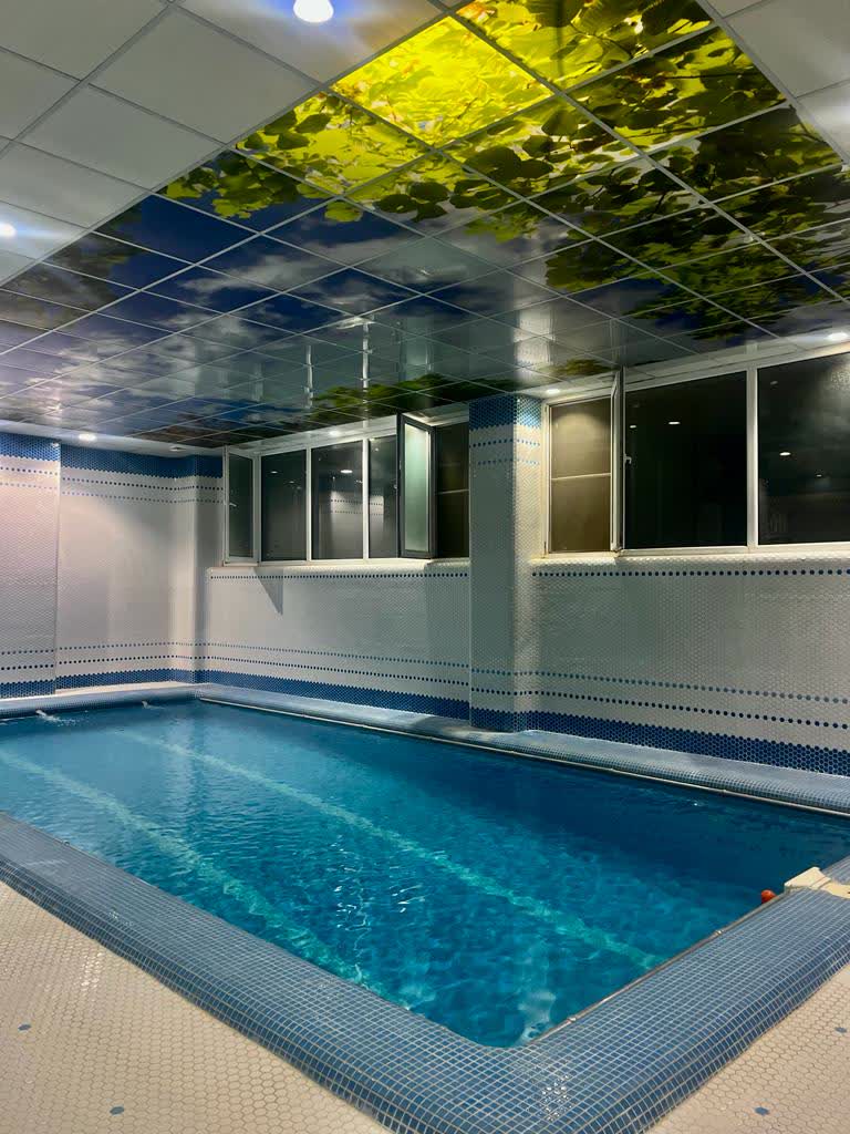 استخر باغ عمارت دانیال 